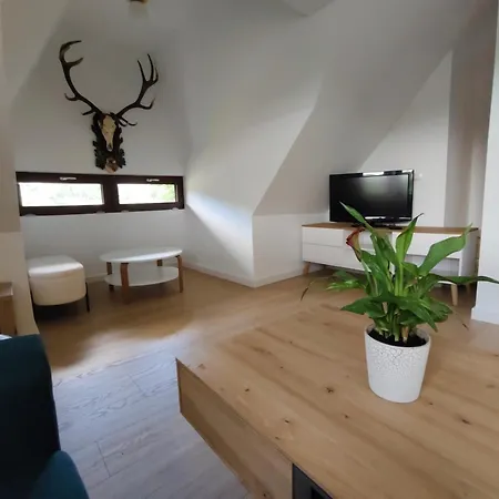 Apartman Rogas Ii
