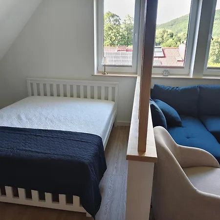 Rogas Ii Lejlighed Rytro